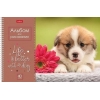 Альбом для рисования на спирали 40 л.A4 Хатбер Doggie-щенки