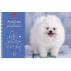 Альбом для рисования на спирали 40 л.A4 Хатбер Doggie-щенки
