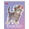 Блокнот на спирали 40 л.A6 Хатбер Котики бывают разными