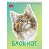 Блокнот на спирали 40 л.A6 Хатбер Котики бывают разными