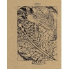 Тетрадь 96 л.A5 клетка Хатбер Art of nature (крафт)