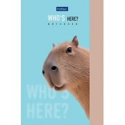 8051